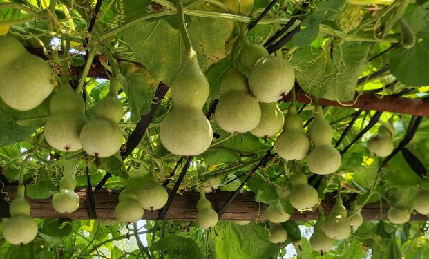 兔年立春几点几分几秒