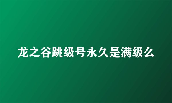 龙之谷跳级号永久是满级么