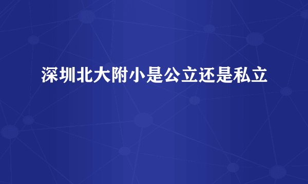 深圳北大附小是公立还是私立