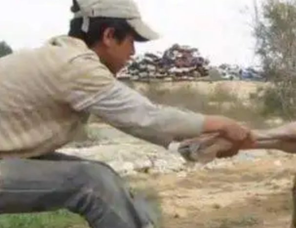 生脱死拽的意思