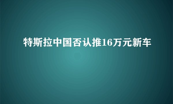 特斯拉中国否认推16万元新车