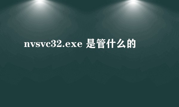 nvsvc32.exe 是管什么的