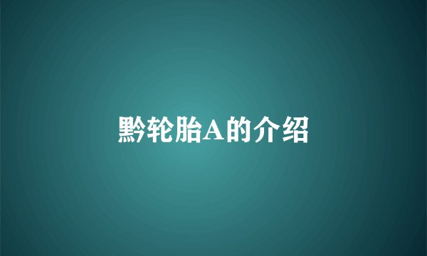 黔轮胎A的介绍