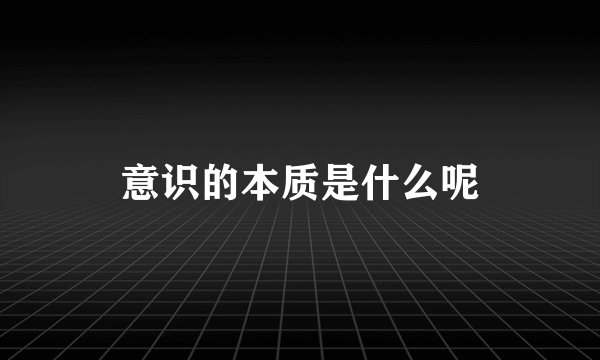 意识的本质是什么呢
