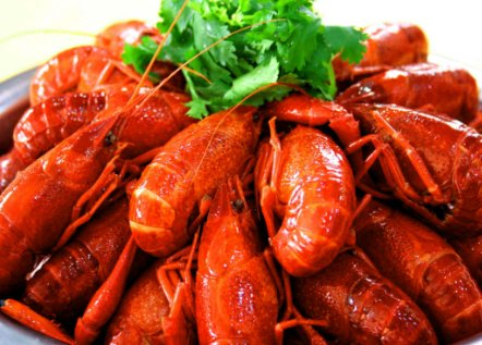 小龙虾一斤大概多少只