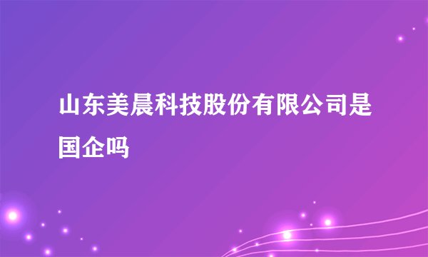 山东美晨科技股份有限公司是国企吗