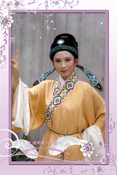 易钗而弁的介绍