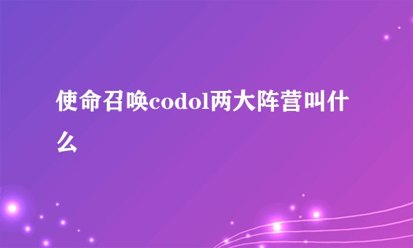使命召唤codol两大阵营叫什么