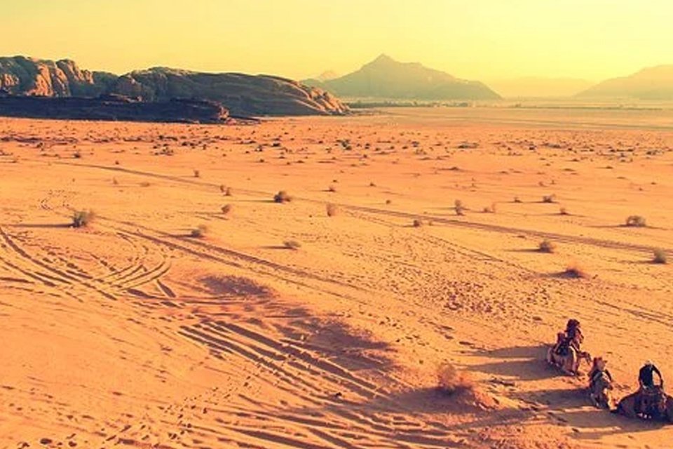 驼色是什么颜色 驼色配淡蓝色好看吗