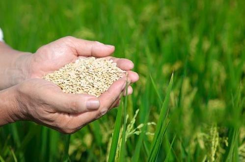 餐厅为杜绝浪费采用末位淘汰制，具体是如何实行？