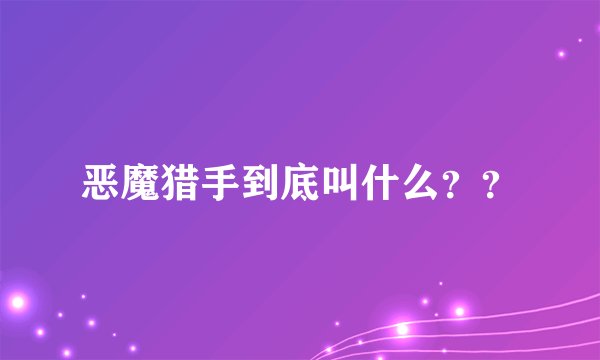恶魔猎手到底叫什么？？
