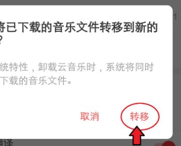 苹果手机网易云下载歌曲失败，为什么啊？
