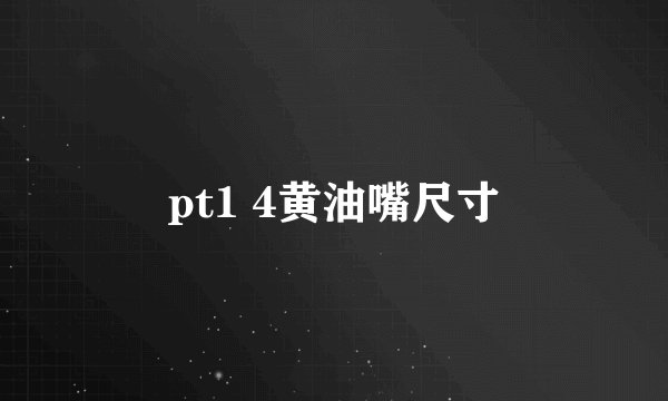 pt1 4黄油嘴尺寸