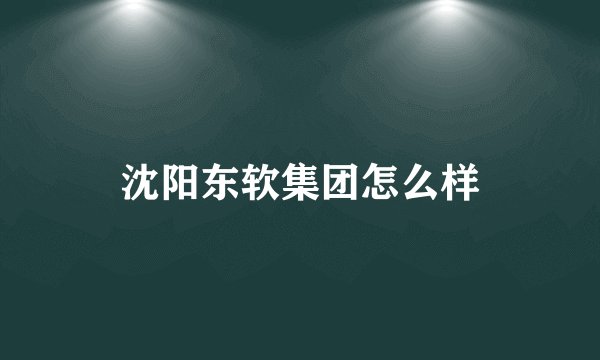 沈阳东软集团怎么样