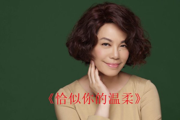恰似你的温柔原唱