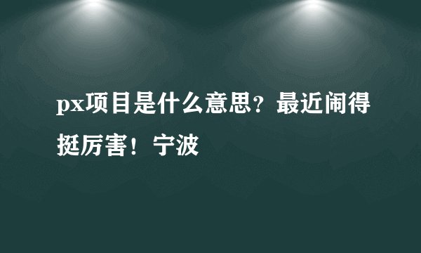 px项目是什么意思？最近闹得挺厉害！宁波