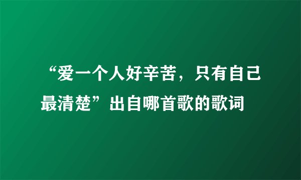 “爱一个人好辛苦，只有自己最清楚”出自哪首歌的歌词