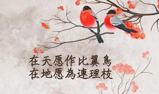 连理枝是什么意思