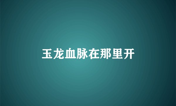 玉龙血脉在那里开