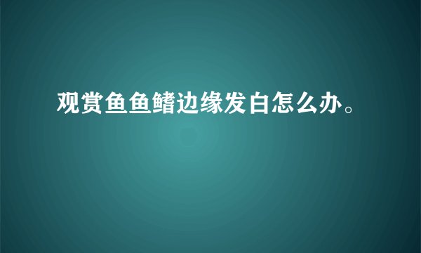 观赏鱼鱼鳍边缘发白怎么办。