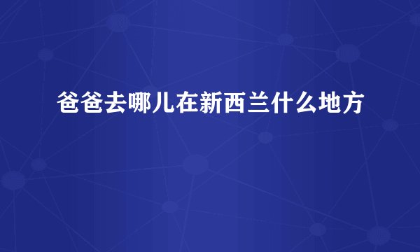 爸爸去哪儿在新西兰什么地方