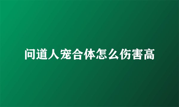 问道人宠合体怎么伤害高