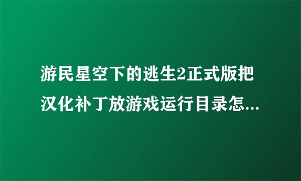 游民星空下的逃生2正式版把汉化补丁放游戏运行目录怎么还是安装不了？勿喷，谢谢。
