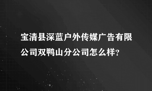 宝清县深蓝户外传媒广告有限公司双鸭山分公司怎么样？