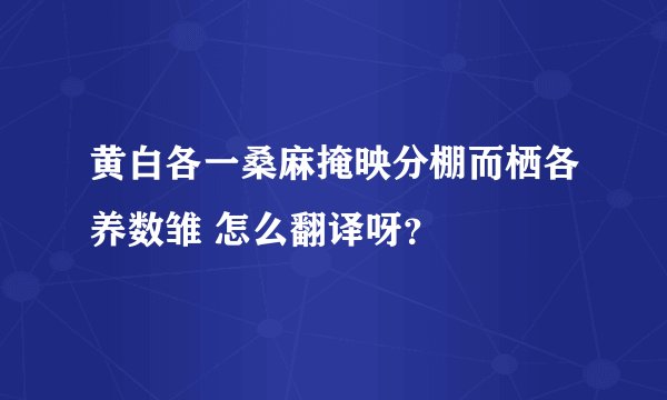黄白各一桑麻掩映分棚而栖各养数雏 怎么翻译呀？