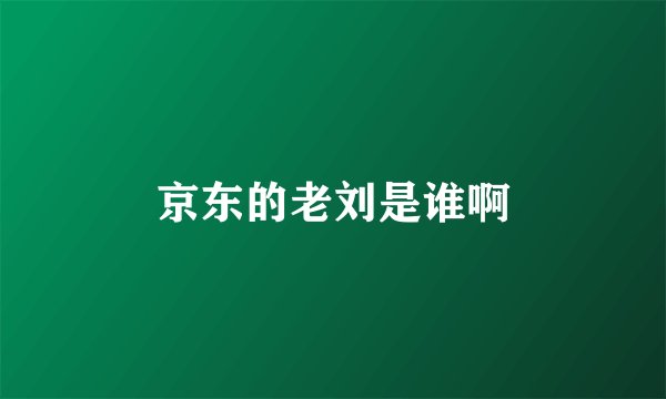 京东的老刘是谁啊