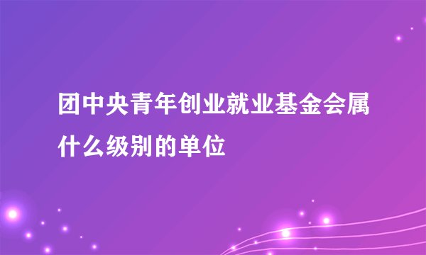 团中央青年创业就业基金会属什么级别的单位