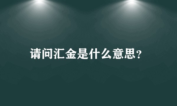 请问汇金是什么意思？