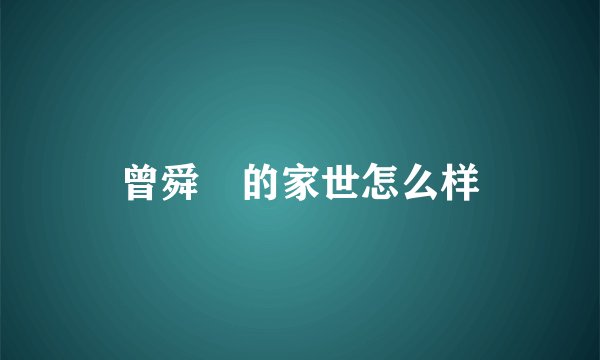 曾舜晞的家世怎么样