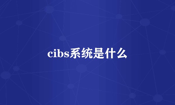cibs系统是什么