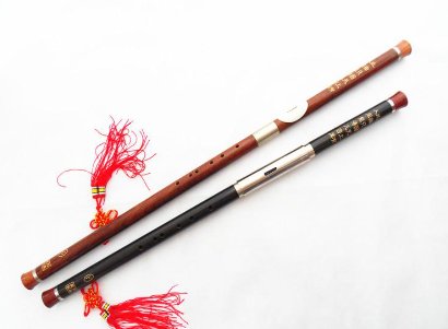 巴乌指法入门教程