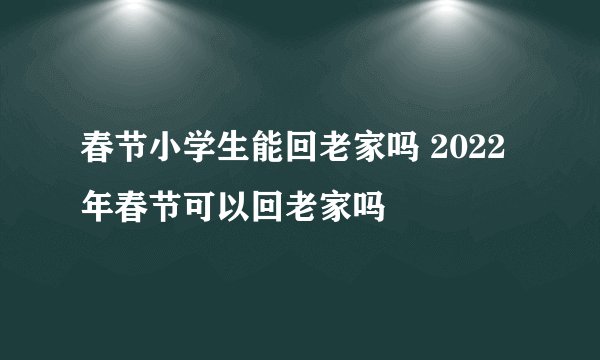春节小学生能回老家吗 2022年春节可以回老家吗