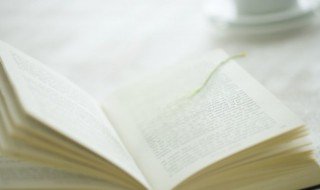 式的组词 式的读音及释义