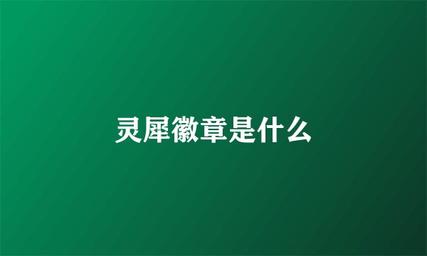灵犀徽章是什么