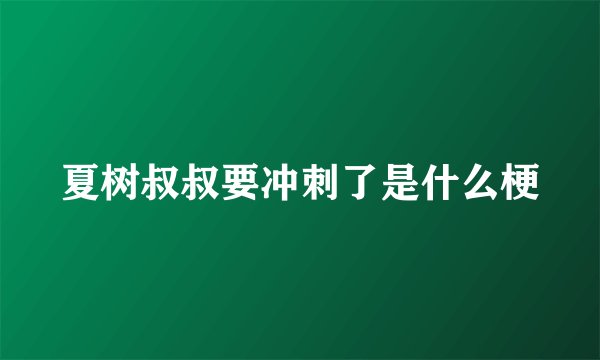 夏树叔叔要冲刺了是什么梗