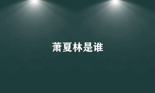 萧夏林是谁