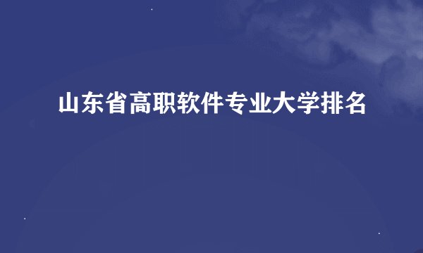 山东省高职软件专业大学排名