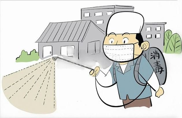 家里出现这个虫子（说是中华婪步甲）怎么消灭？