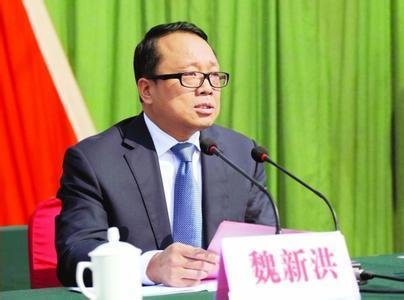 魏新洪的人物履历