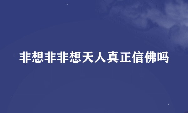 非想非非想天人真正信佛吗