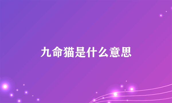 九命猫是什么意思