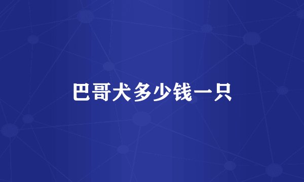 巴哥犬多少钱一只