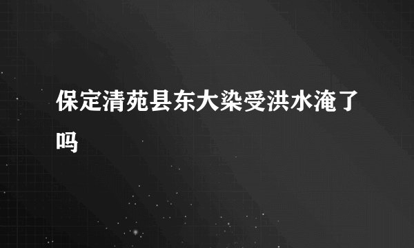 保定清苑县东大染受洪水淹了吗