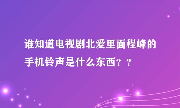 谁知道电视剧北爱里面程峰的手机铃声是什么东西？？
