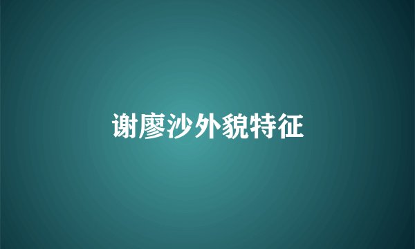 谢廖沙外貌特征