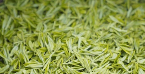 绿茶包括哪些茶叶品种?